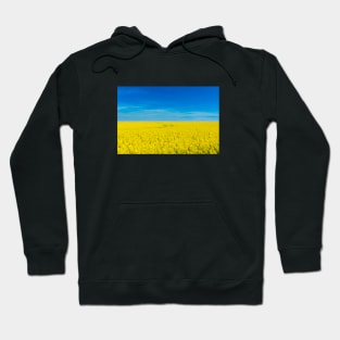 Ukraine national flag landscape - Landscape resembling Ukrainian Flag Hoodie